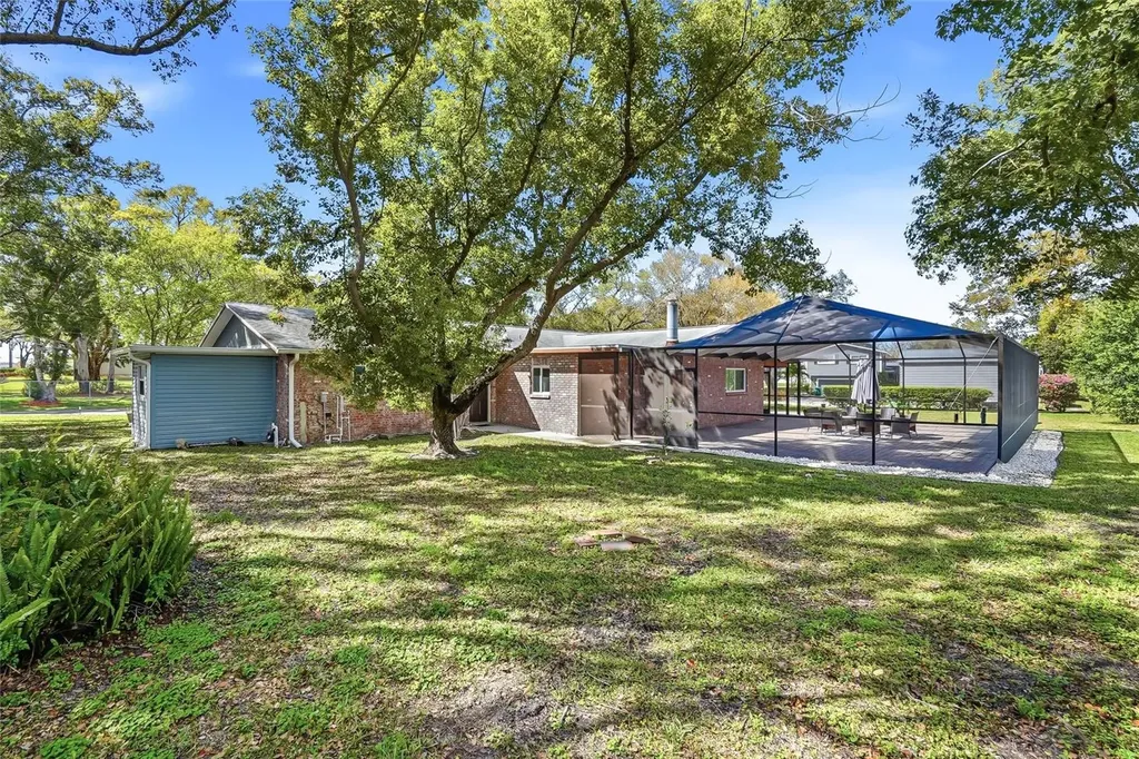 2817 Fleeman Road Palm Harbor FL 34683