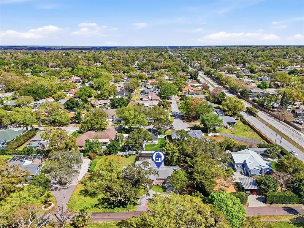2817 Fleeman Road Palm Harbor FL 34683