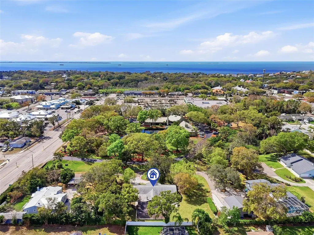 2817 Fleeman Road Palm Harbor FL 34683