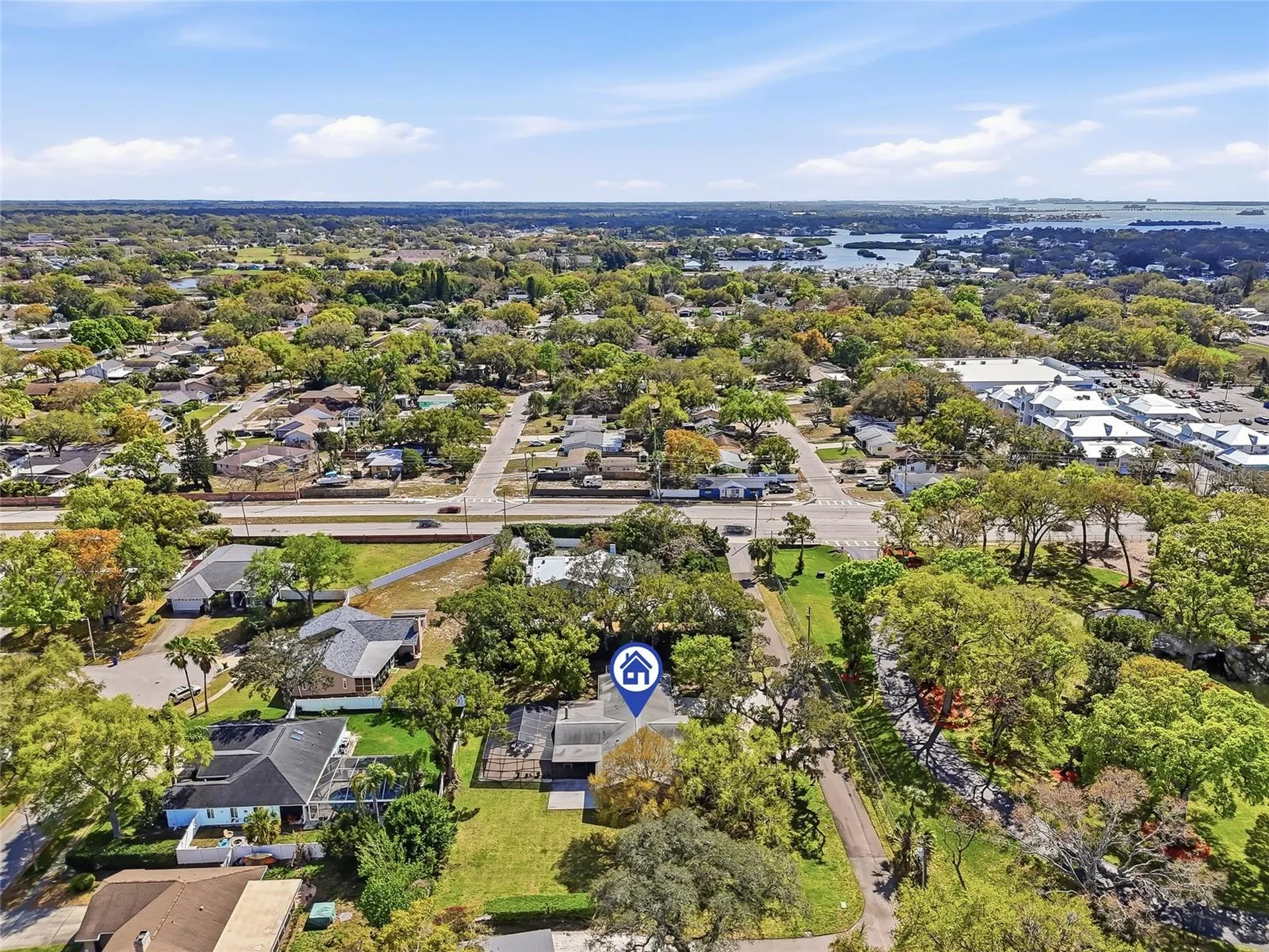 2817 Fleeman Road Palm Harbor FL 34683