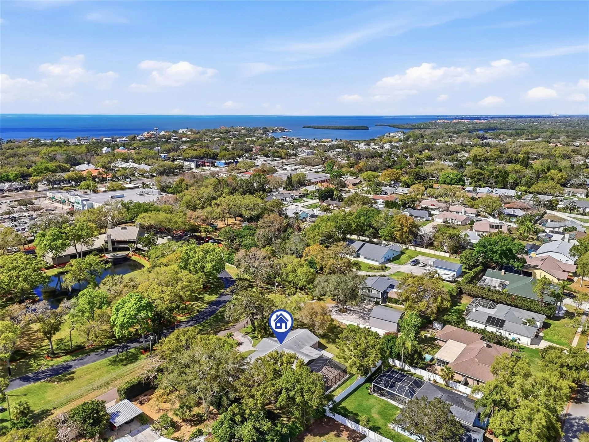2817 Fleeman Road Palm Harbor FL 34683