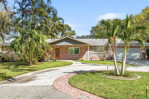 2817 Fleeman Road Palm Harbor FL 34683