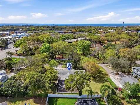 2817 Fleeman Road Palm Harbor FL 34683