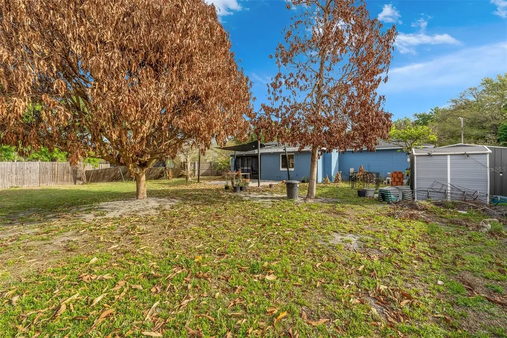 8509 Lyonia Drive Orlando FL 32829