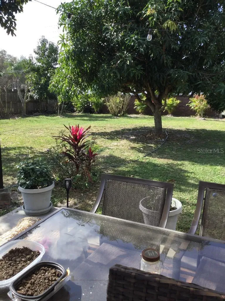 8509 Lyonia Drive Orlando FL 32829