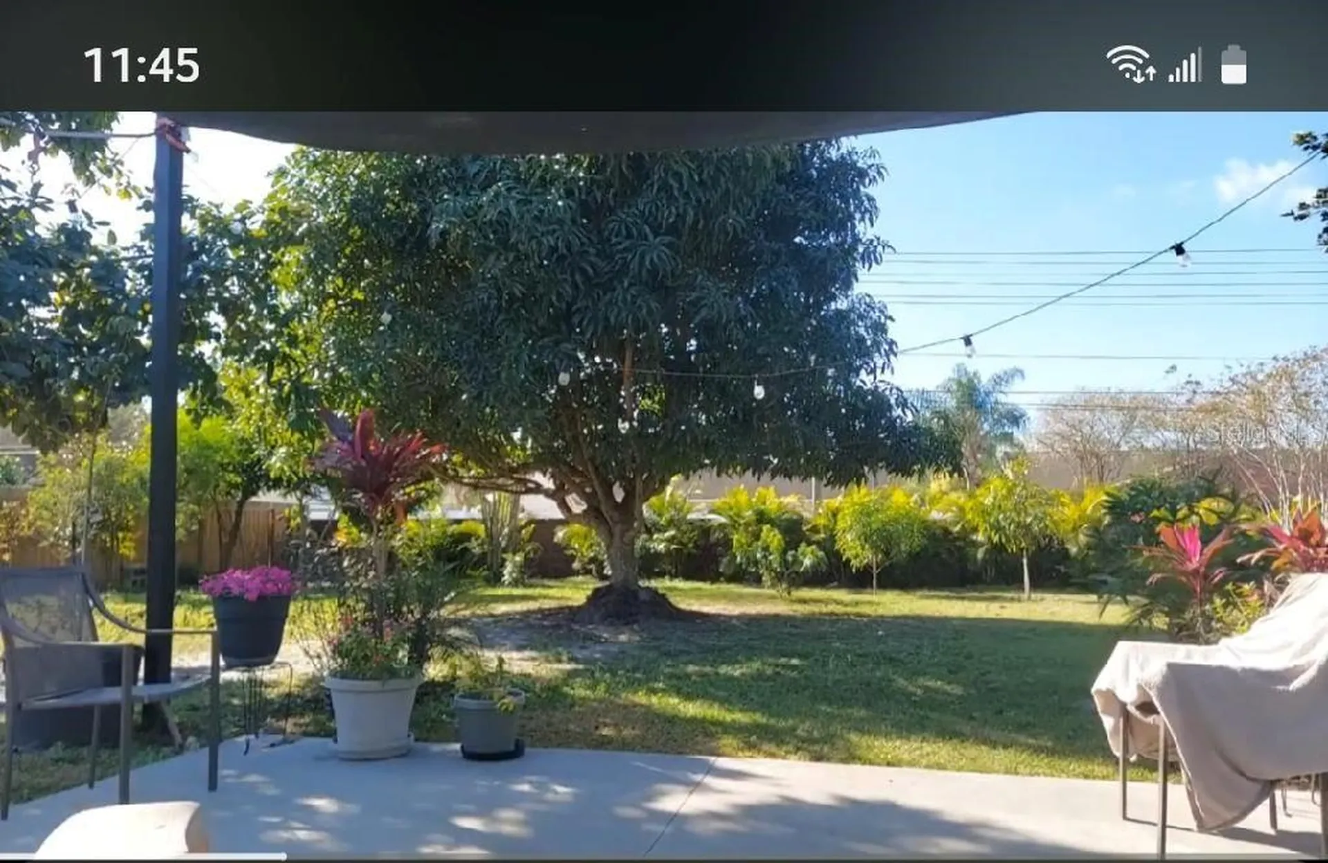 8509 Lyonia Drive Orlando FL 32829