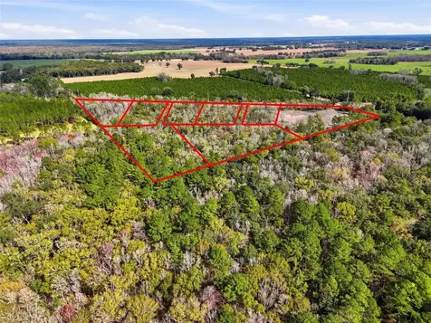 20994 SW County Road 18 Brooker FL 32622
