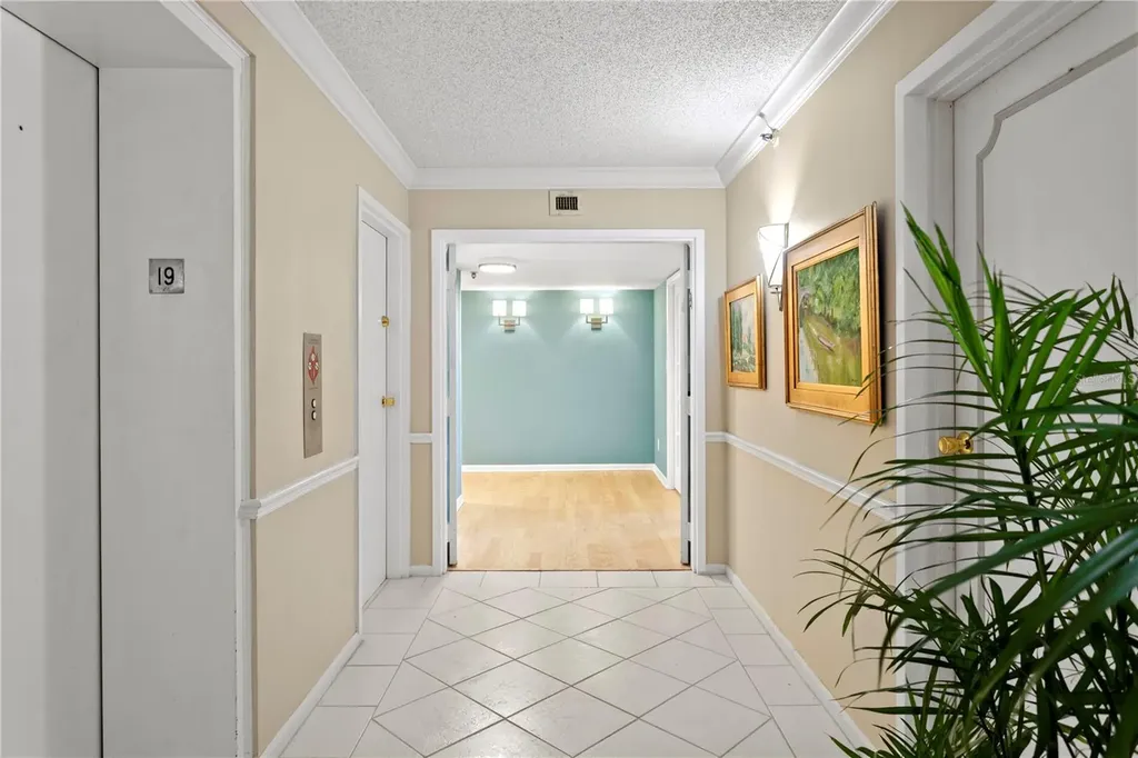 3301 Bayshore Boulevard Tampa FL 33629