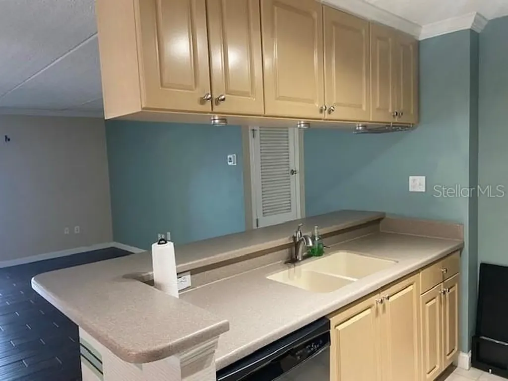 108 Alameda Court Tampa FL 33609