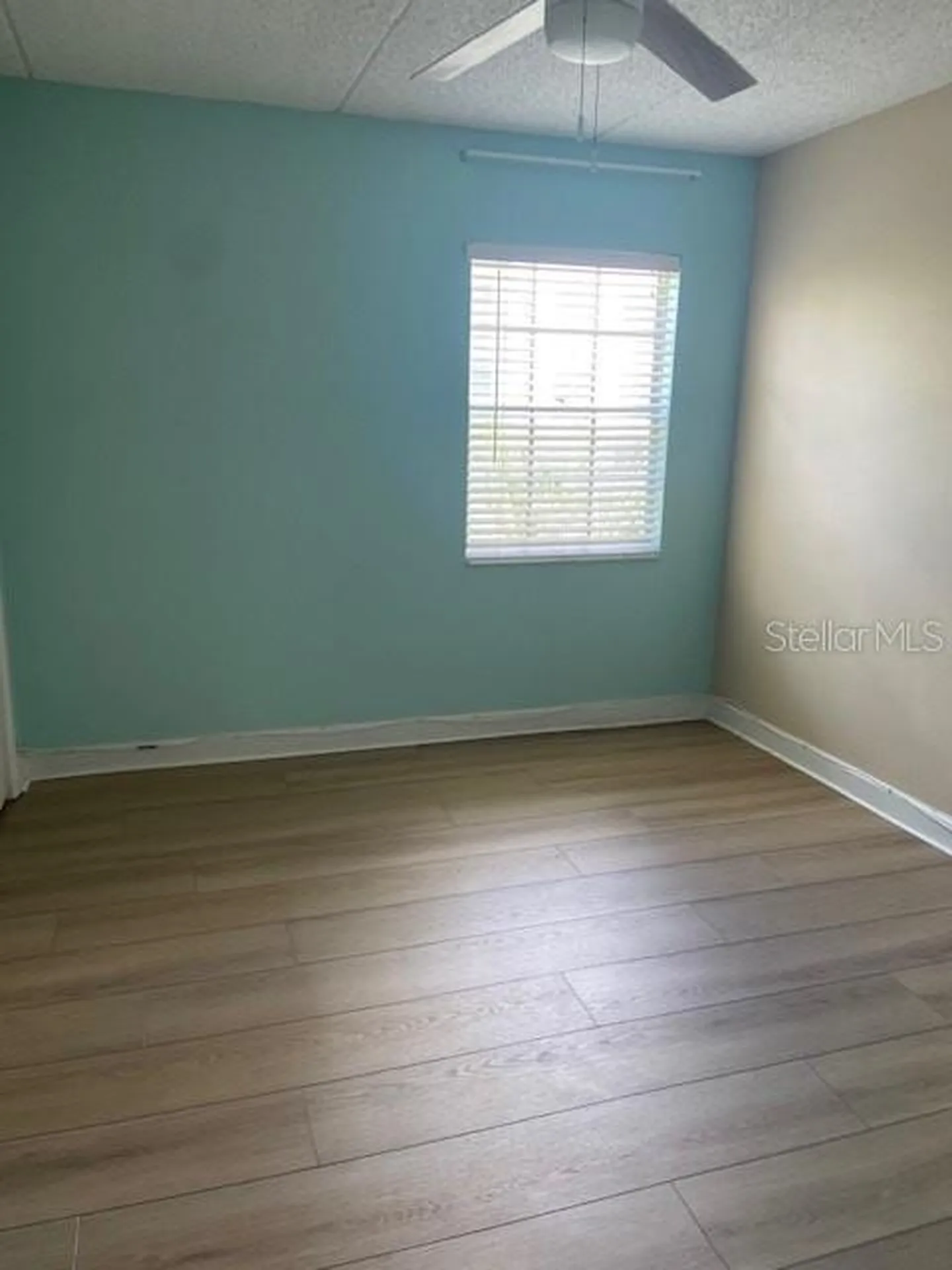 108 Alameda Court Tampa FL 33609