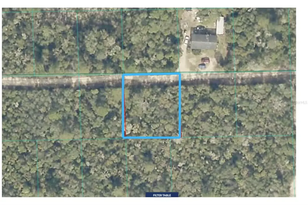 Lot 19 NE 233rd Lane Fort Mc Coy FL 32134