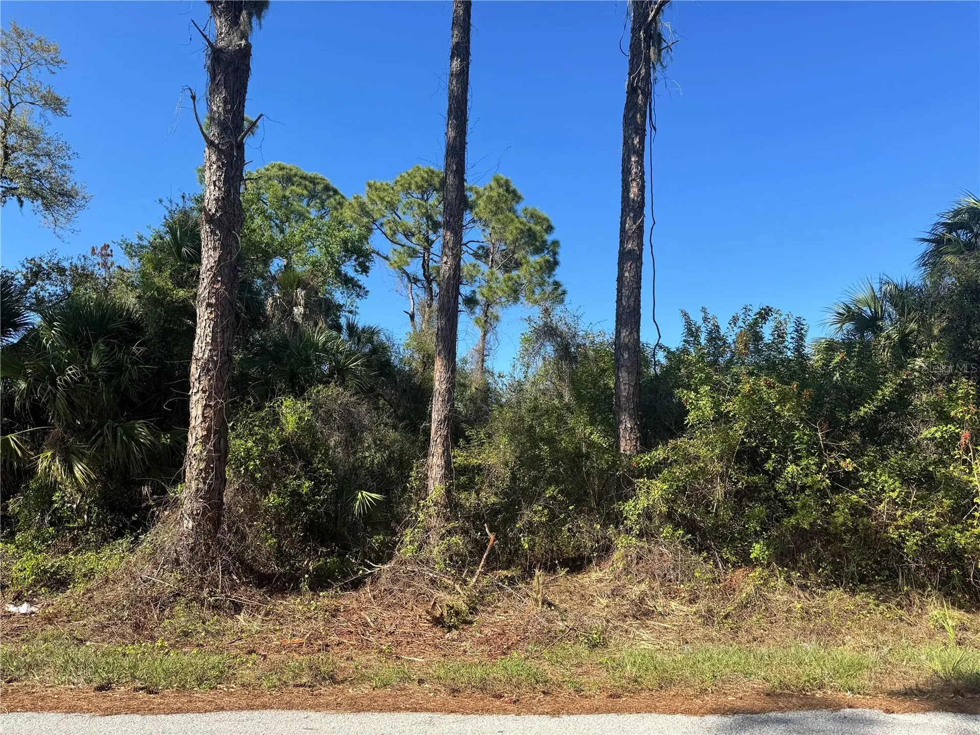 17426 Brighton Avenue Port Charlotte FL 33954