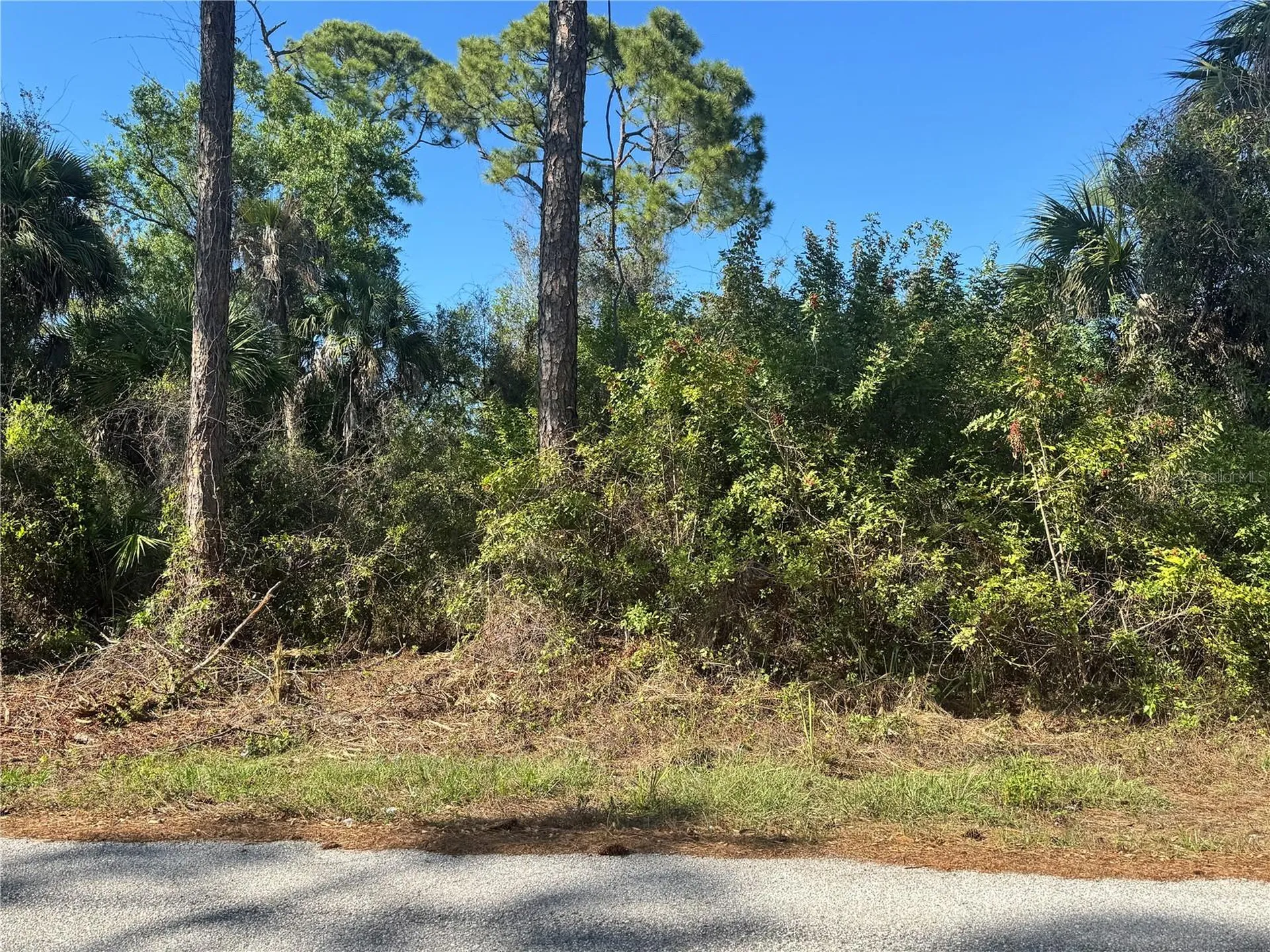 17426 Brighton Avenue Port Charlotte FL 33954