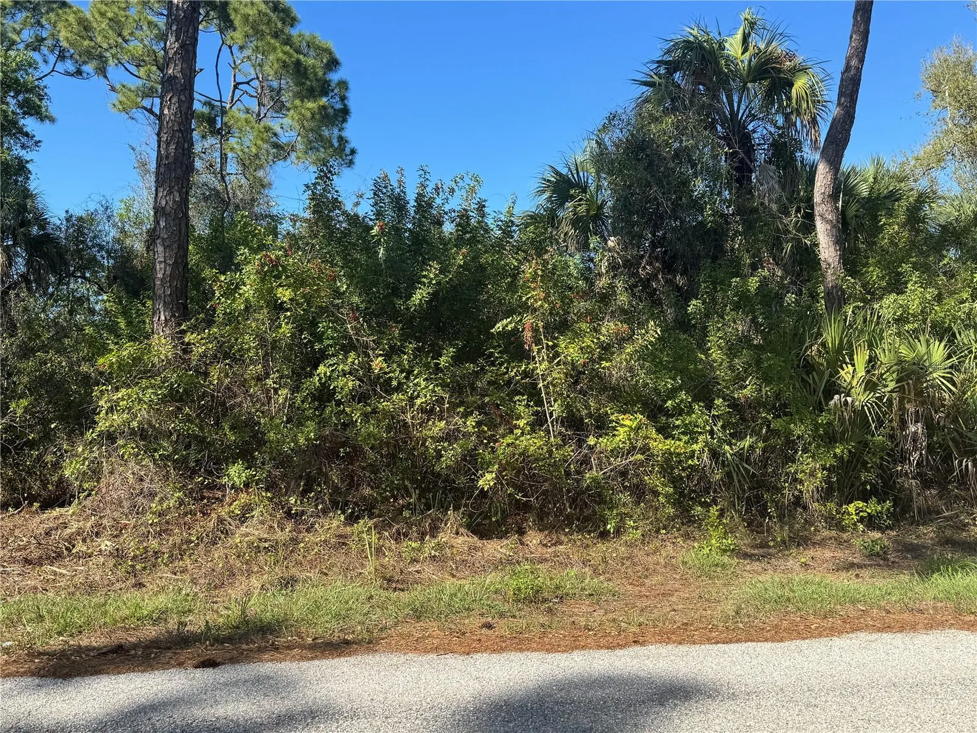 17426 Brighton Avenue Port Charlotte FL 33954