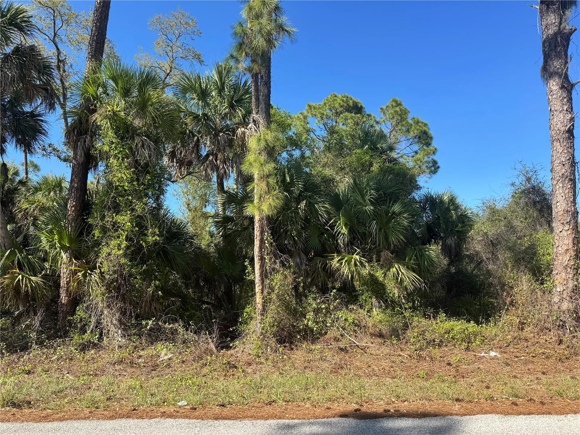 17418 Brighton Avenue Port Charlotte FL 33954