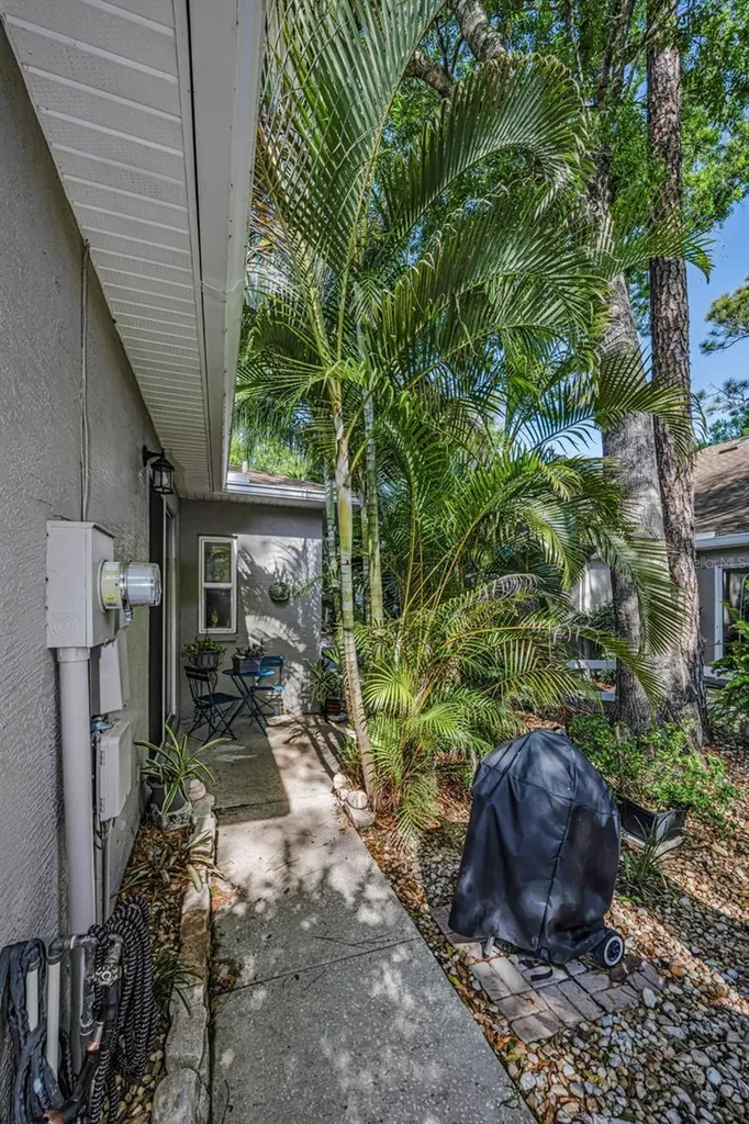 3164 Brooker Creek Way Palm Harbor FL 34685