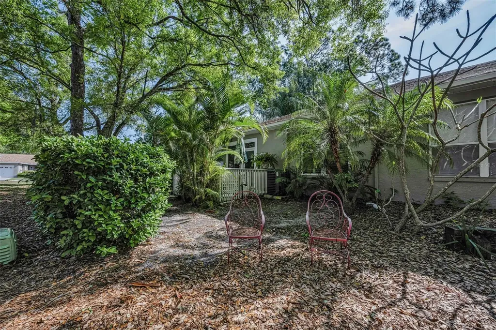 3164 Brooker Creek Way Palm Harbor FL 34685