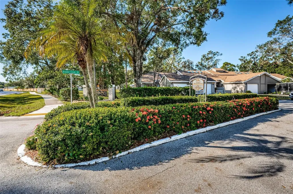 3164 Brooker Creek Way Palm Harbor FL 34685