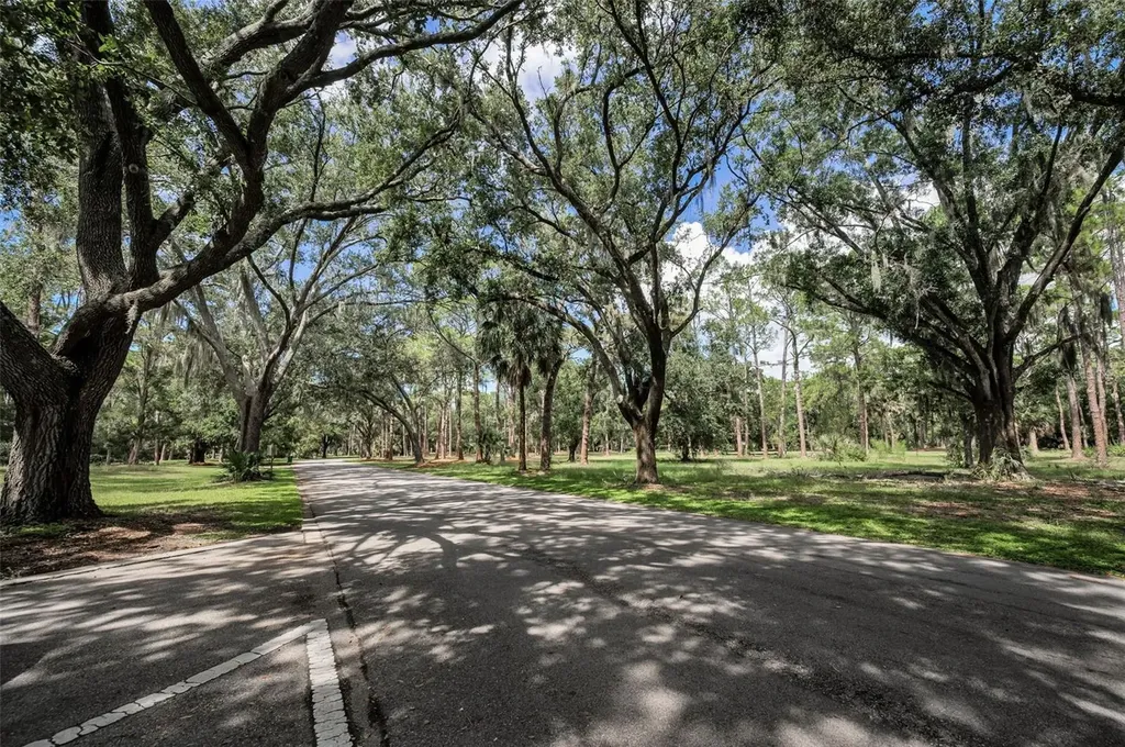 3164 Brooker Creek Way Palm Harbor FL 34685