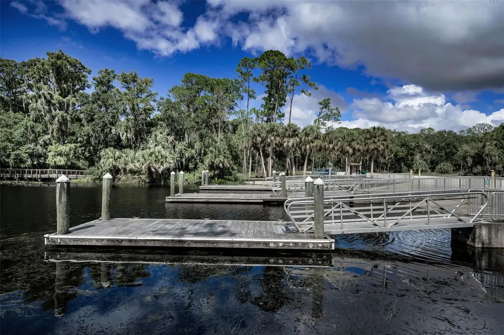 3164 Brooker Creek Way Palm Harbor FL 34685