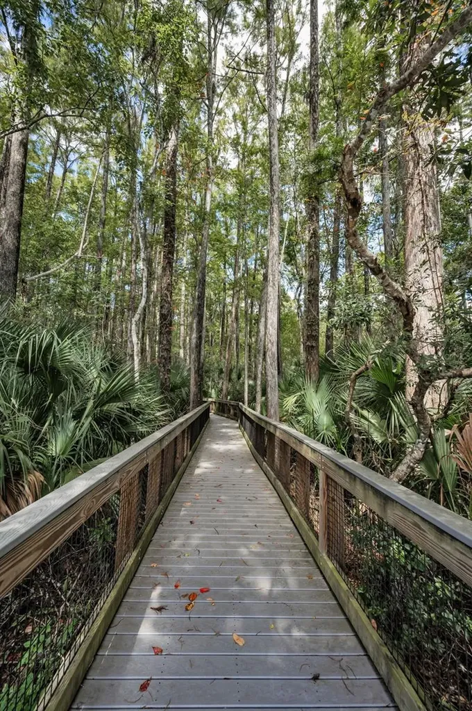 3164 Brooker Creek Way Palm Harbor FL 34685