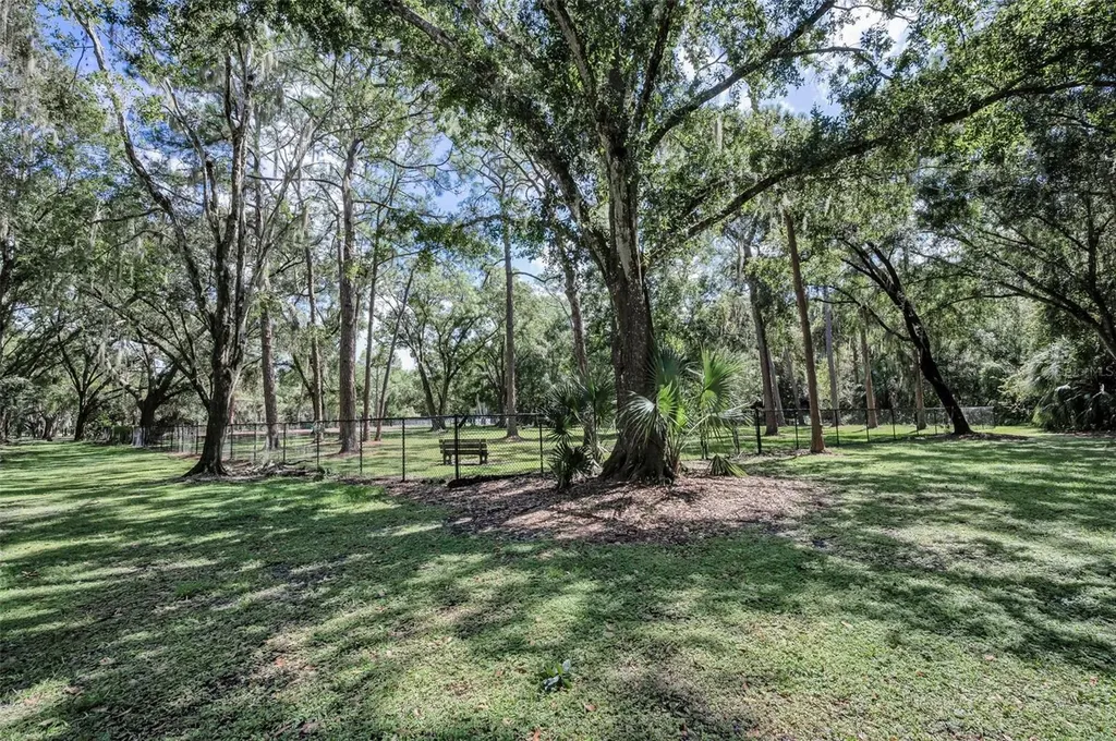 3164 Brooker Creek Way Palm Harbor FL 34685