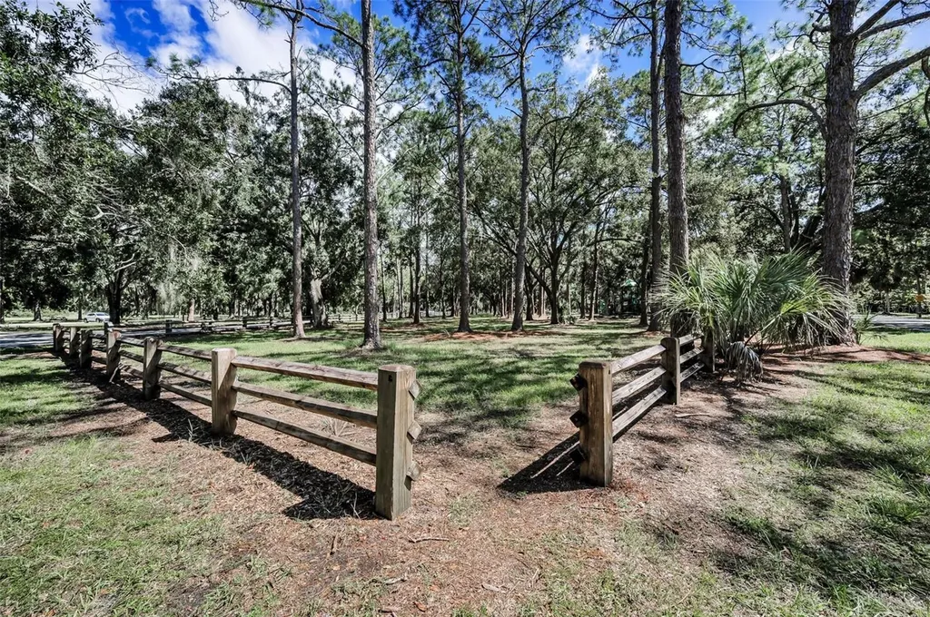 3164 Brooker Creek Way Palm Harbor FL 34685