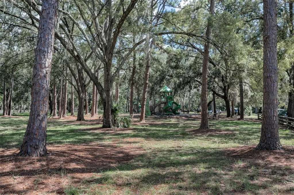 3164 Brooker Creek Way Palm Harbor FL 34685