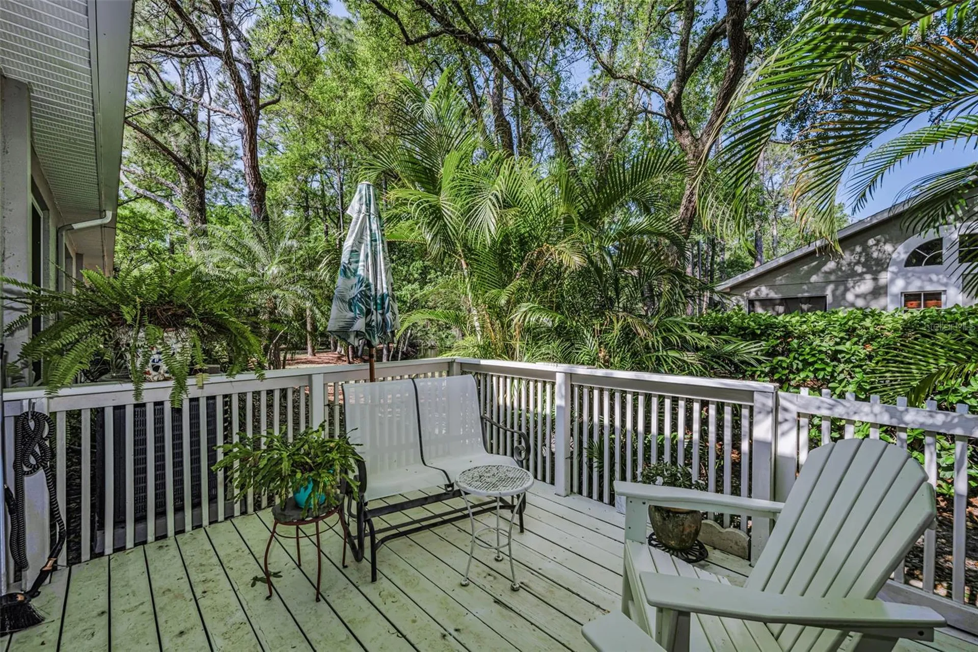 3164 Brooker Creek Way Palm Harbor FL 34685