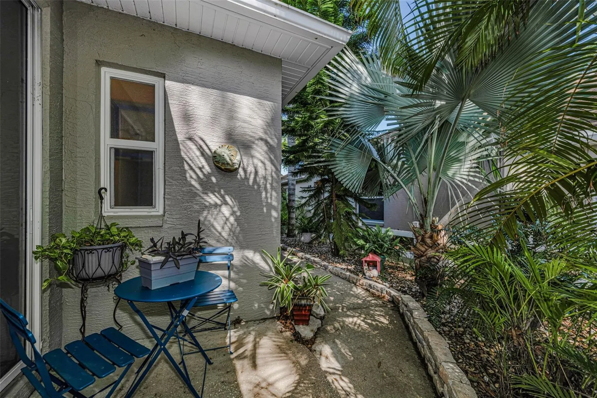 3164 Brooker Creek Way Palm Harbor FL 34685
