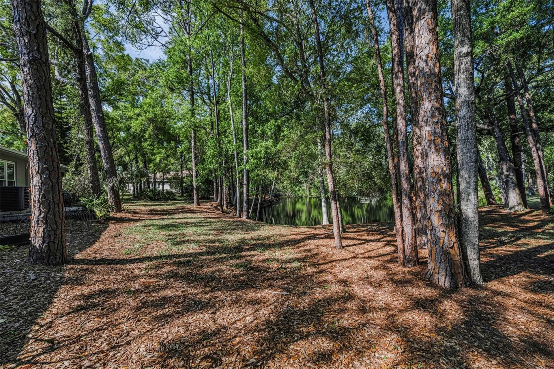 3164 Brooker Creek Way Palm Harbor FL 34685