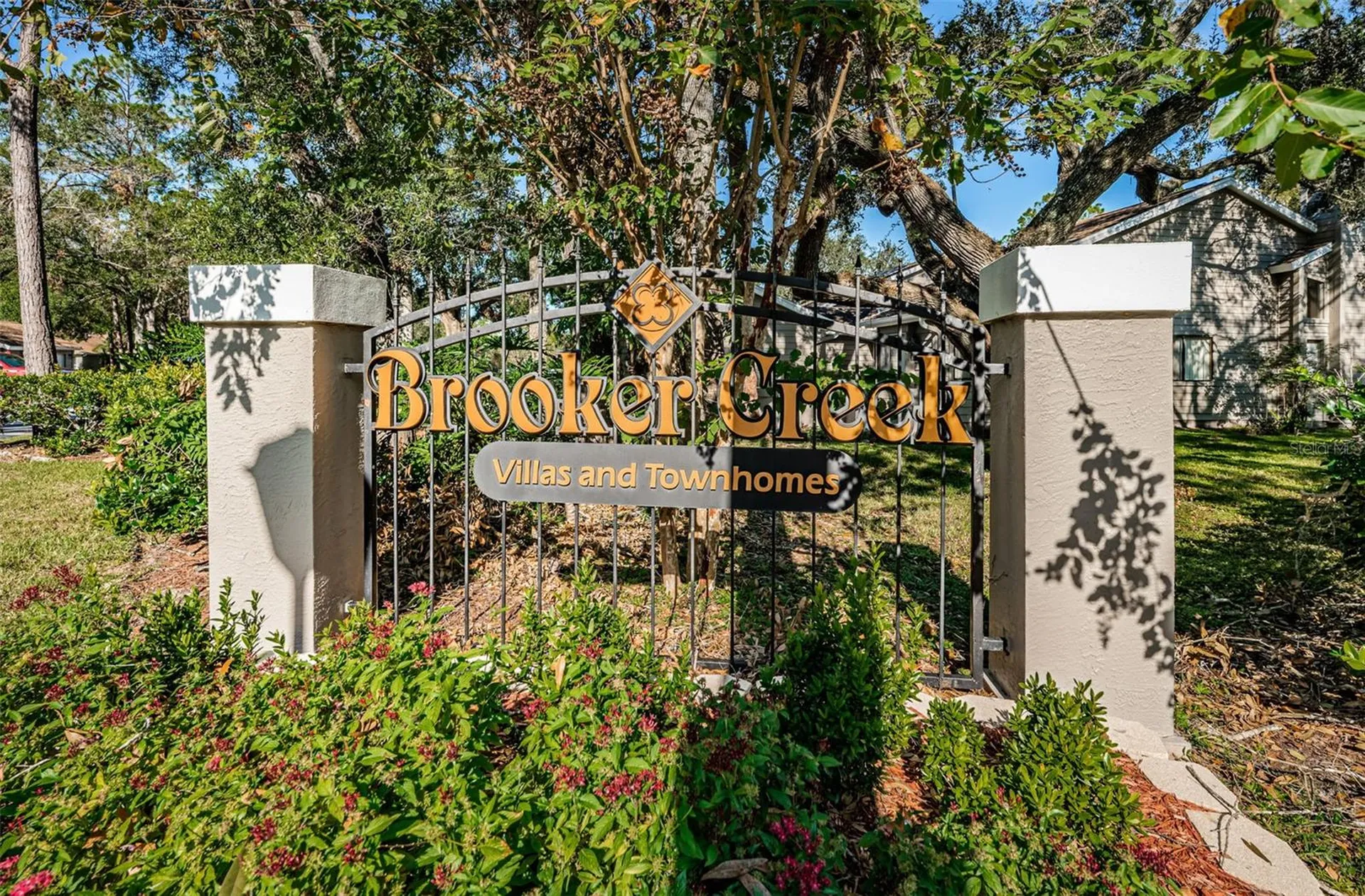 3164 Brooker Creek Way Palm Harbor FL 34685