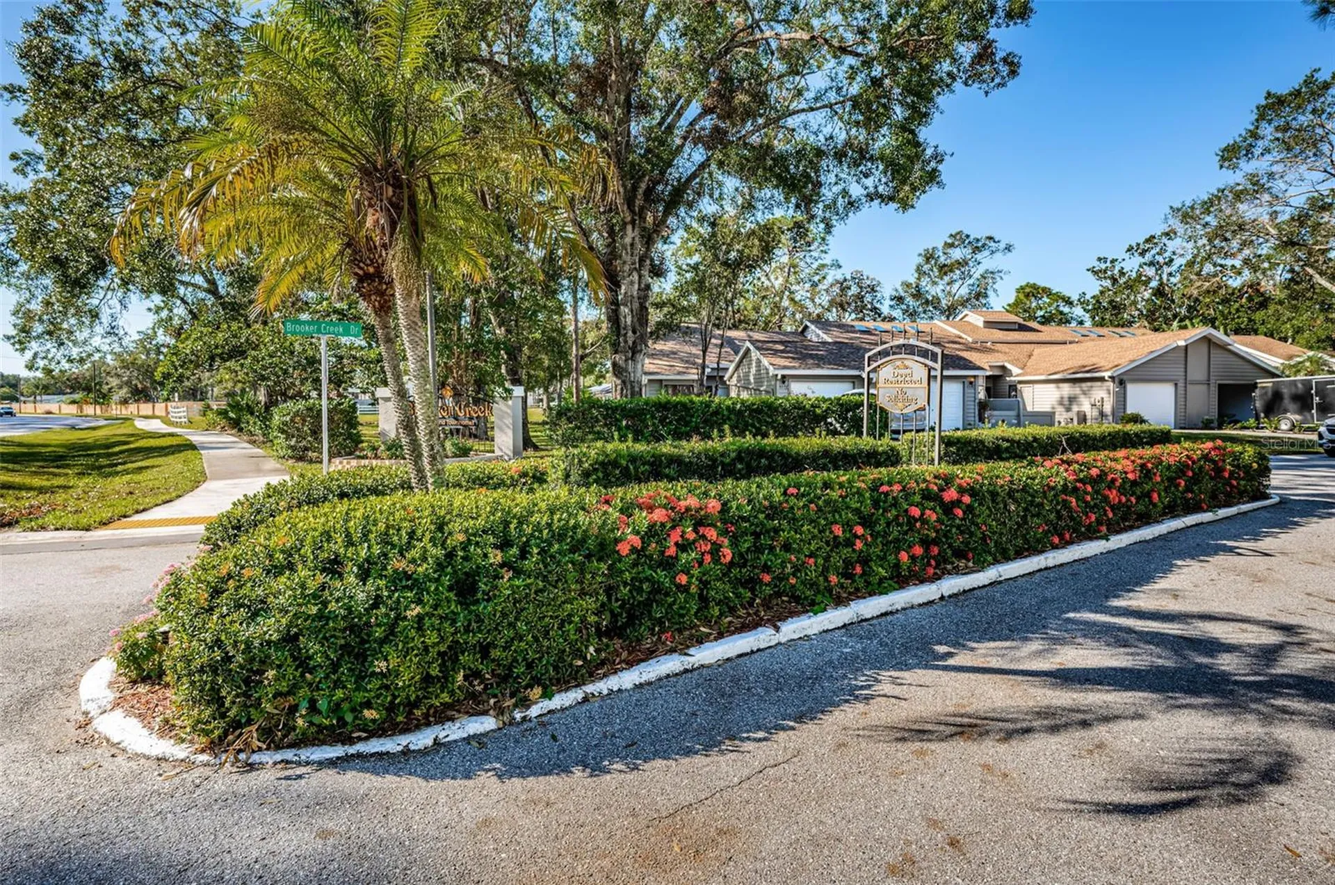 3164 Brooker Creek Way Palm Harbor FL 34685