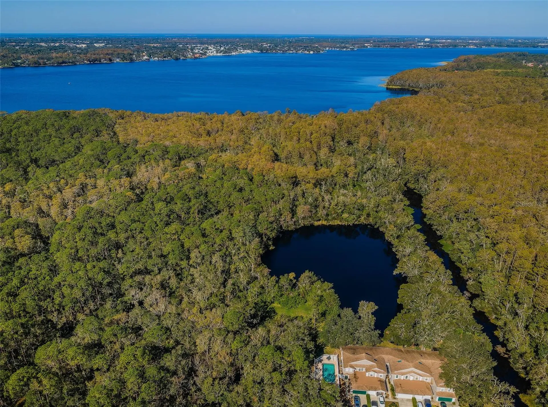 3164 Brooker Creek Way Palm Harbor FL 34685