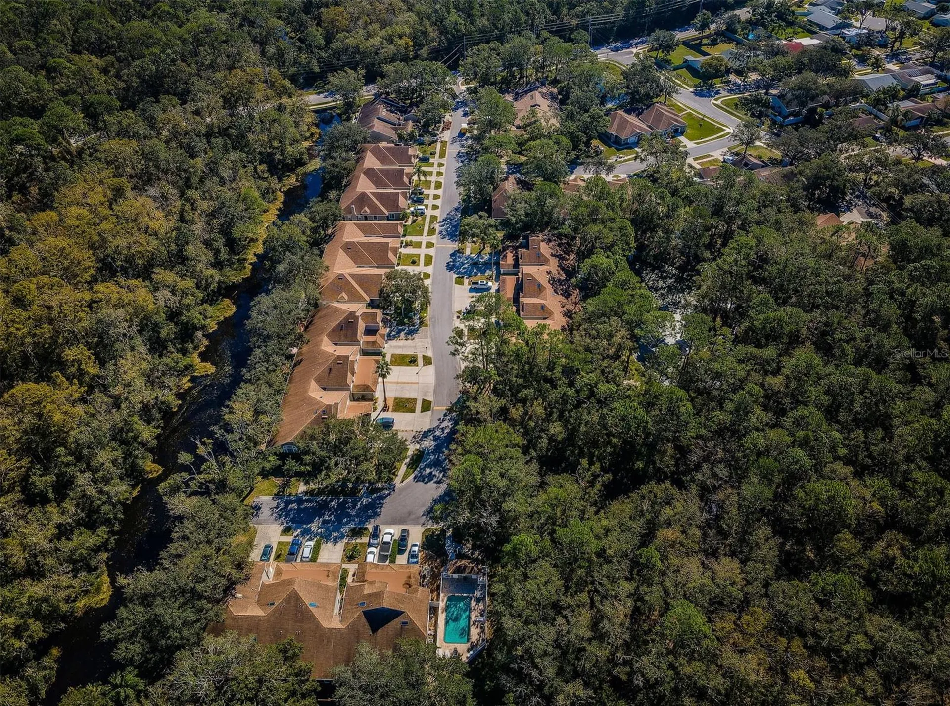 3164 Brooker Creek Way Palm Harbor FL 34685