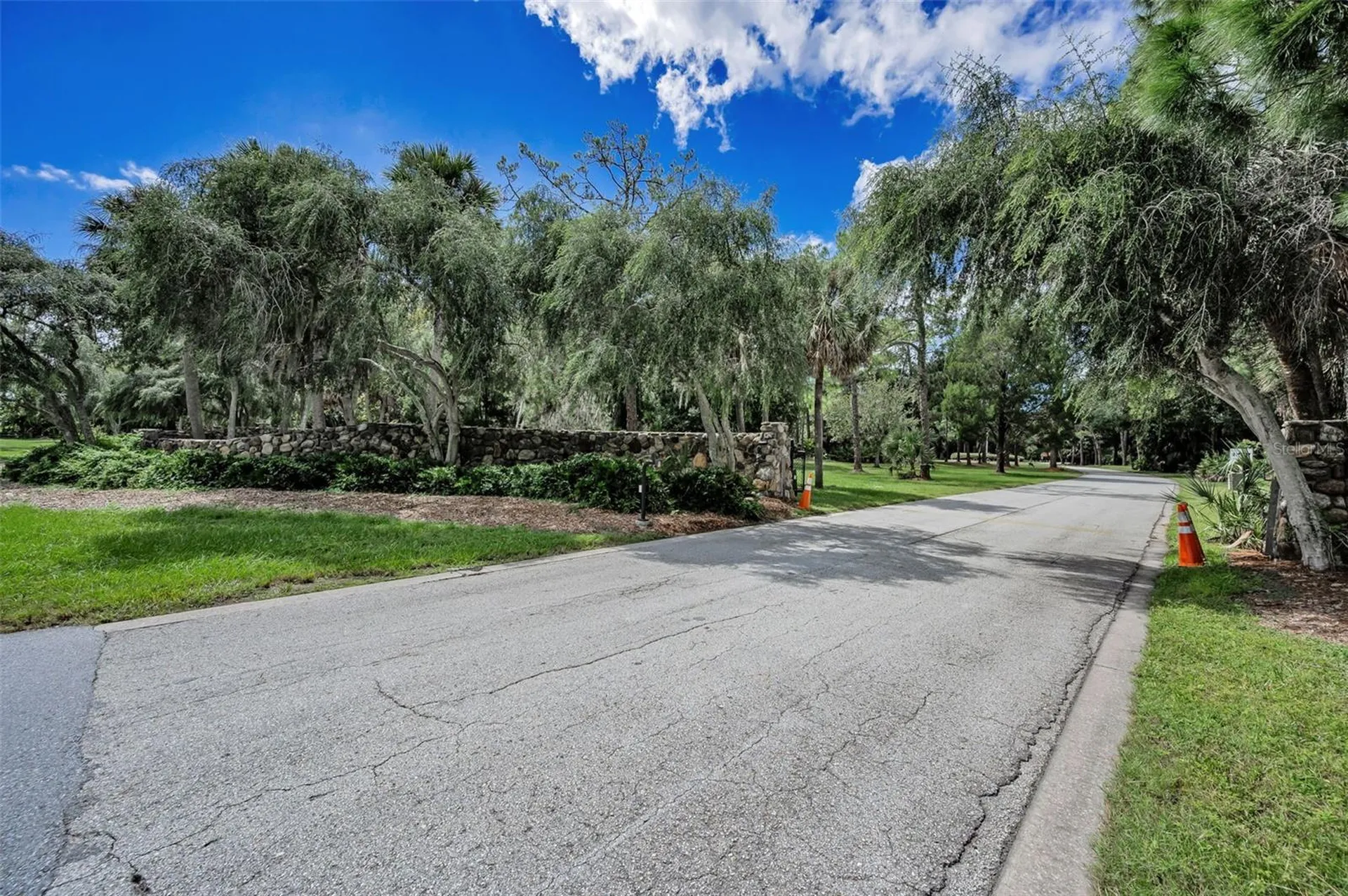 3164 Brooker Creek Way Palm Harbor FL 34685