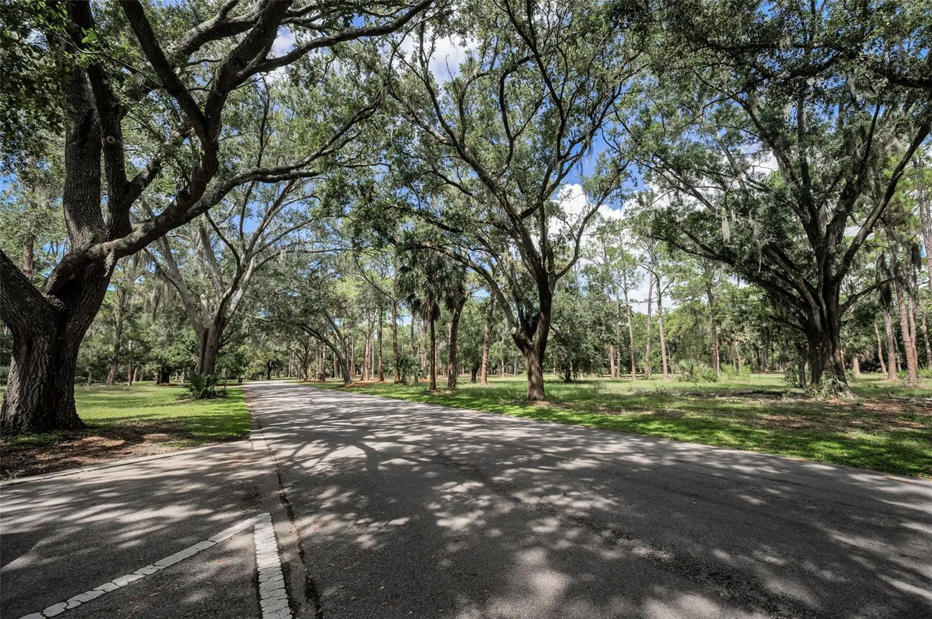 3164 Brooker Creek Way Palm Harbor FL 34685
