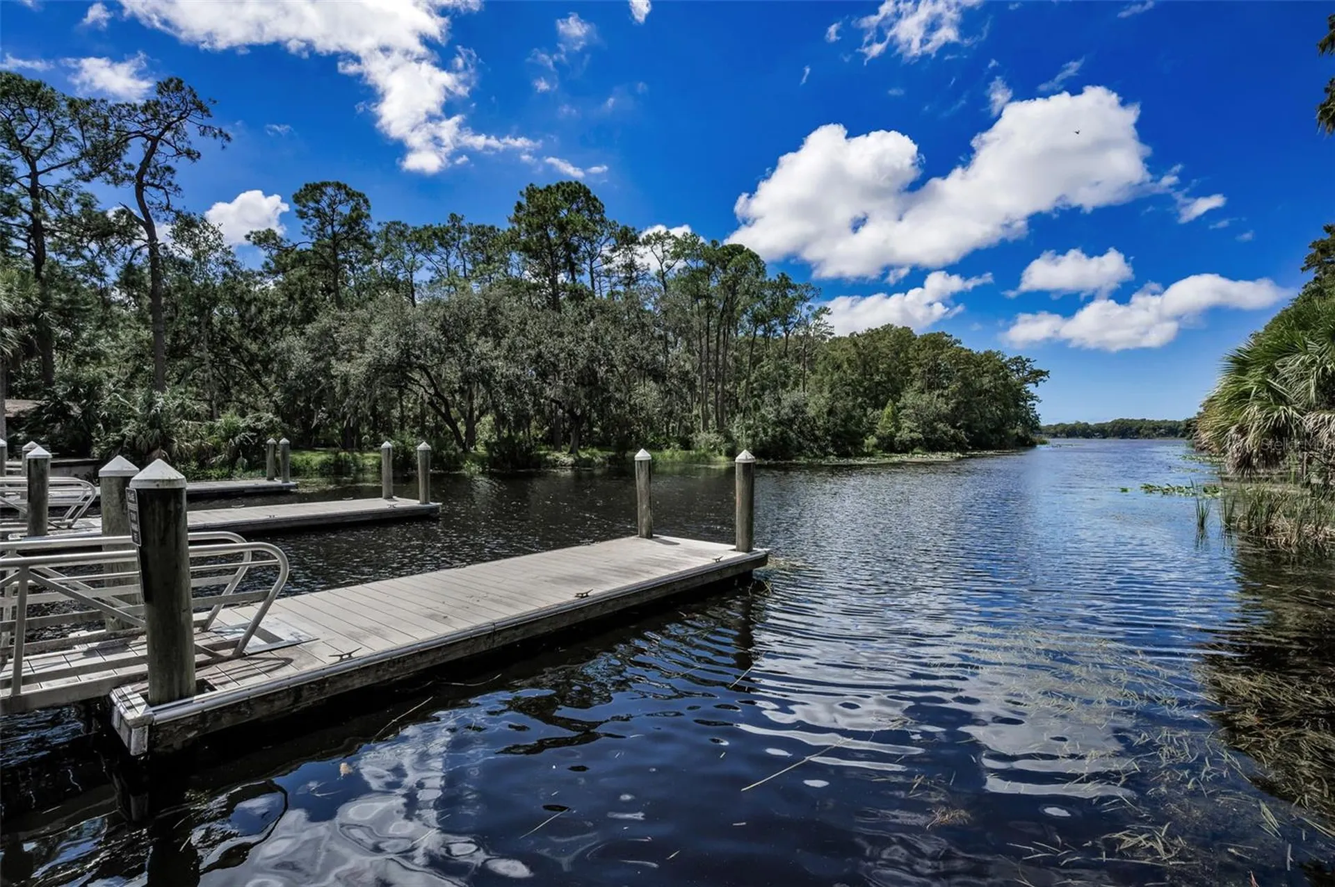 3164 Brooker Creek Way Palm Harbor FL 34685