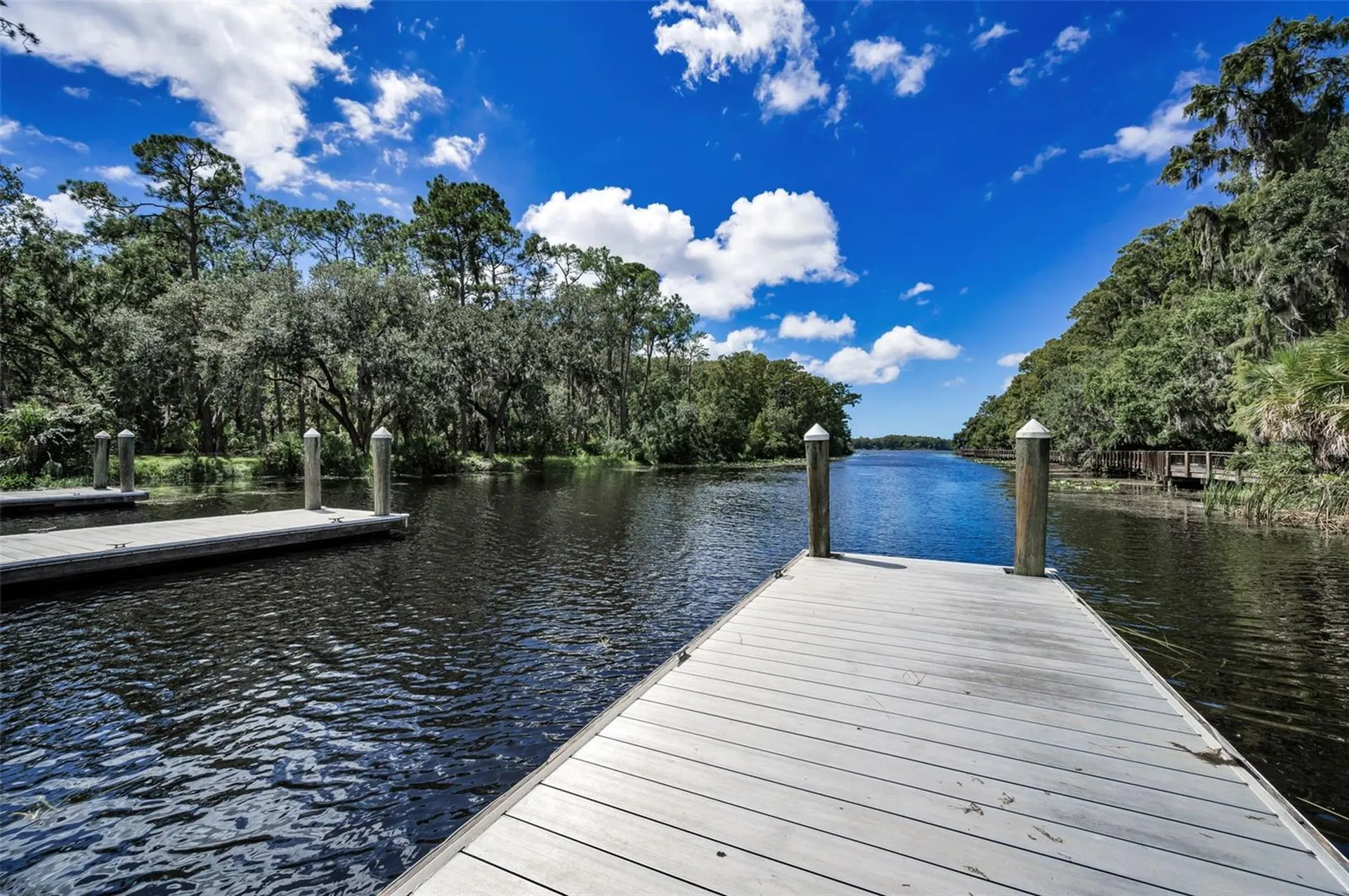 3164 Brooker Creek Way Palm Harbor FL 34685