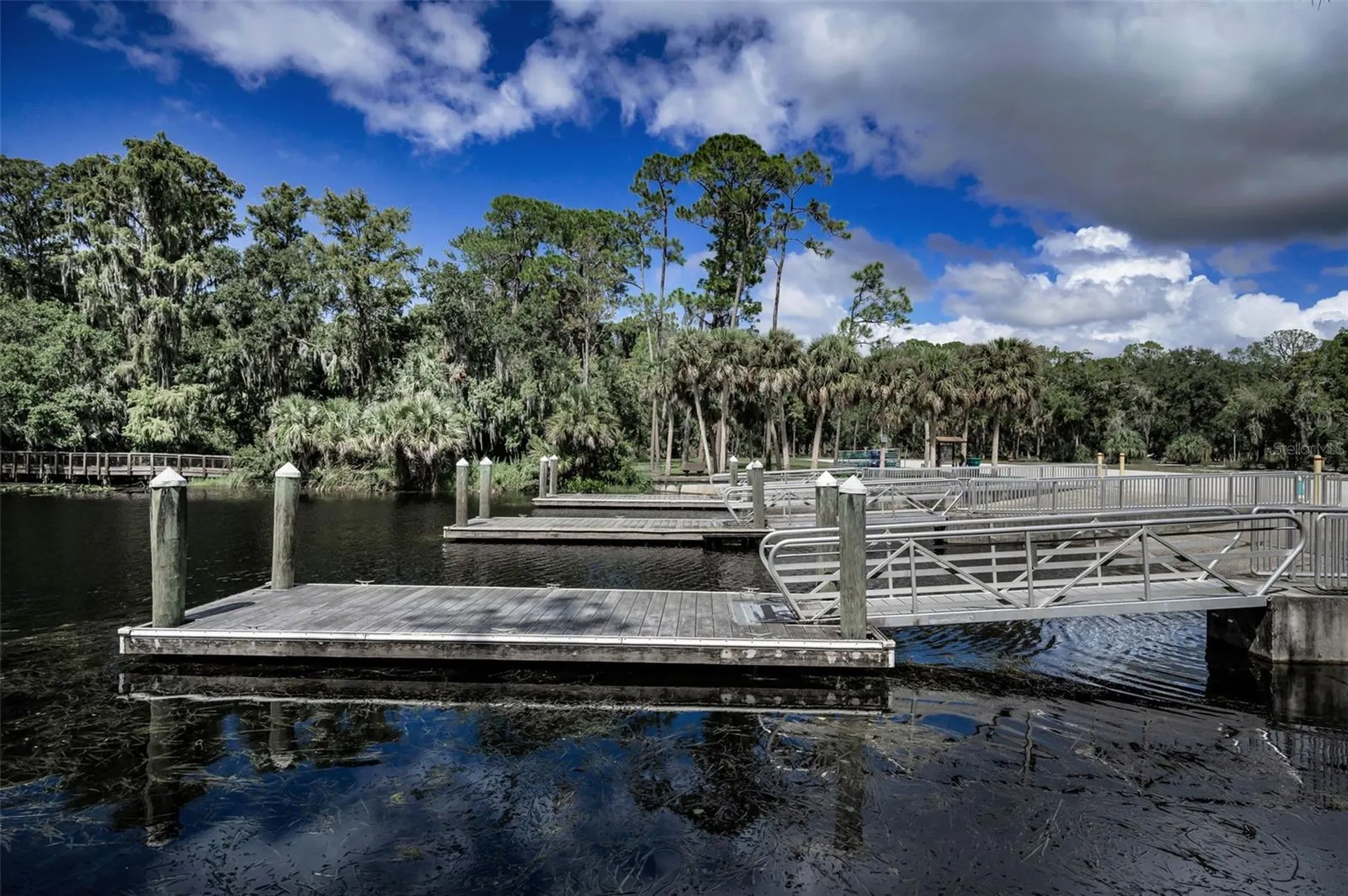 3164 Brooker Creek Way Palm Harbor FL 34685
