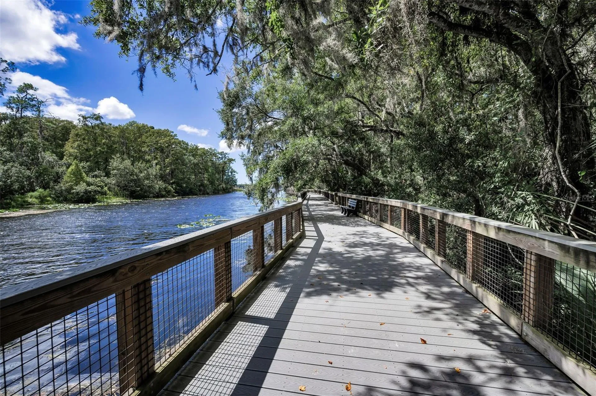 3164 Brooker Creek Way Palm Harbor FL 34685