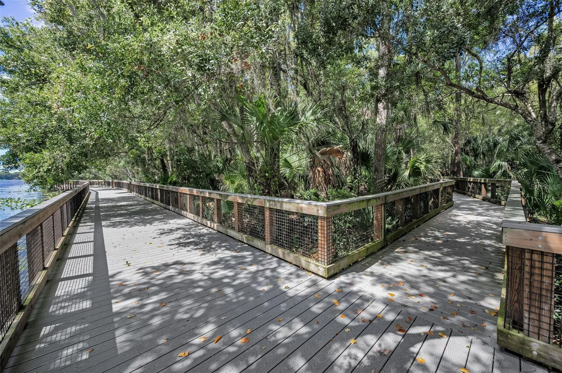 3164 Brooker Creek Way Palm Harbor FL 34685