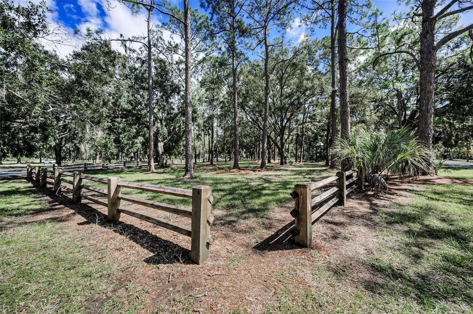 3164 Brooker Creek Way Palm Harbor FL 34685