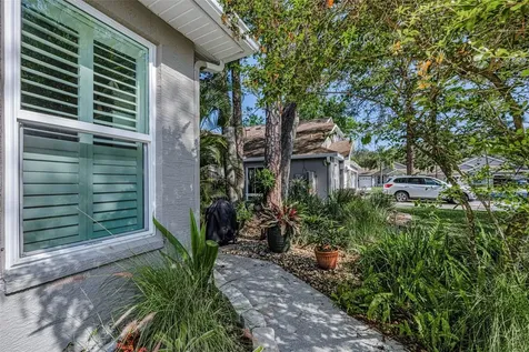3164 Brooker Creek Way Palm Harbor FL 34685