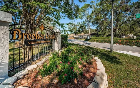 3164 Brooker Creek Way Palm Harbor FL 34685