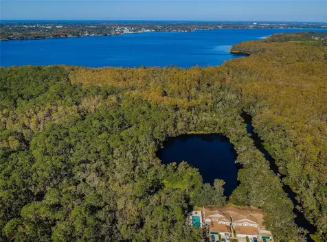 3164 Brooker Creek Way Palm Harbor FL 34685