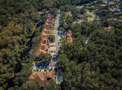 3164 Brooker Creek Way Palm Harbor FL 34685