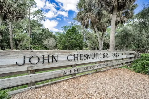 3164 Brooker Creek Way Palm Harbor FL 34685