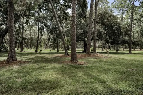 3164 Brooker Creek Way Palm Harbor FL 34685
