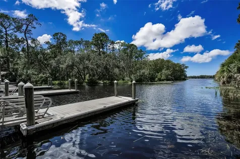 3164 Brooker Creek Way Palm Harbor FL 34685